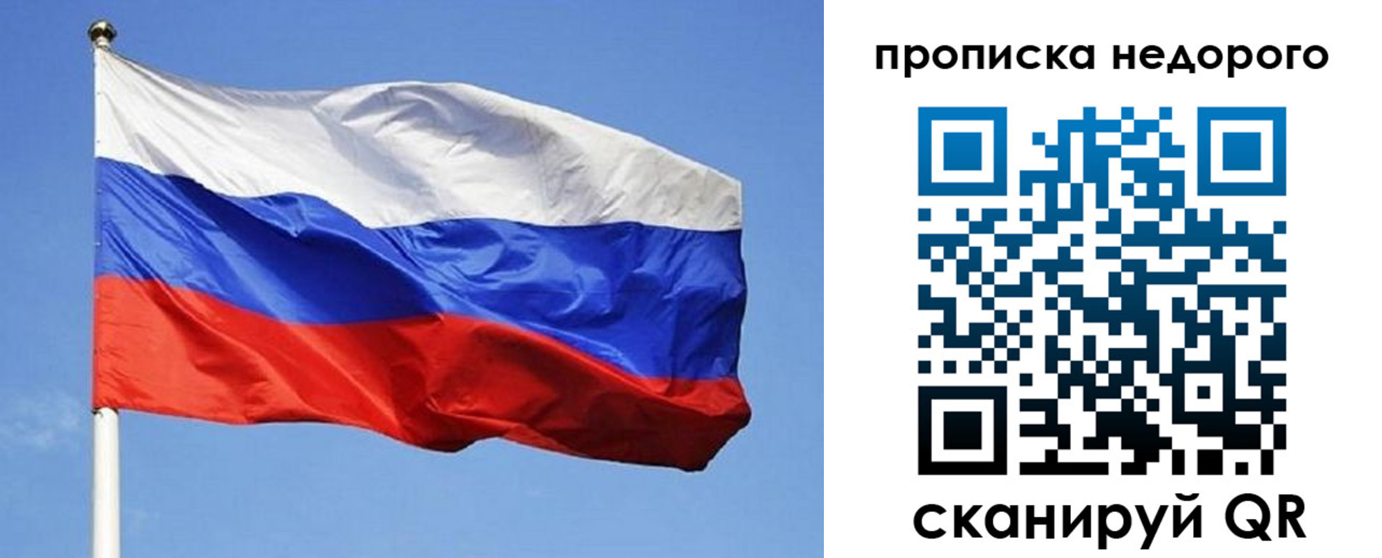 прописка для школы в Вязьме